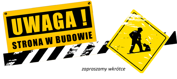 budowa